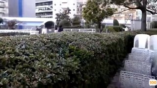 四川天齐锂业股份有限公司梅姨的传说之一
